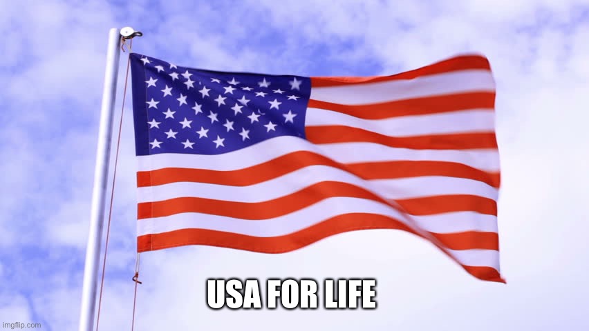 USA Flag | USA FOR LIFE | image tagged in usa flag | made w/ Imgflip meme maker