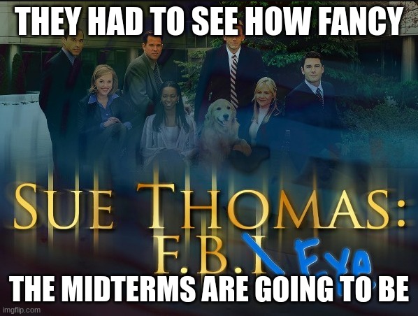 Defamation train. | THEY HAD TO SEE HOW FANCY; THE MIDTERMS ARE GOING TO BE | image tagged in defamation train | made w/ Imgflip meme maker