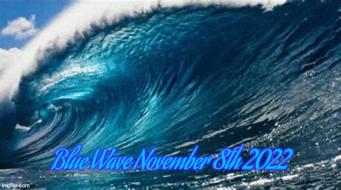 Blue wave | Blue Wave November 8th 2022 | image tagged in democrats,election,2022 | made w/ Imgflip meme maker