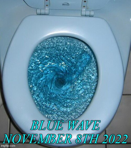 BLUE WAVE NOVEMBER 8TH 2022 | made w/ Imgflip meme maker