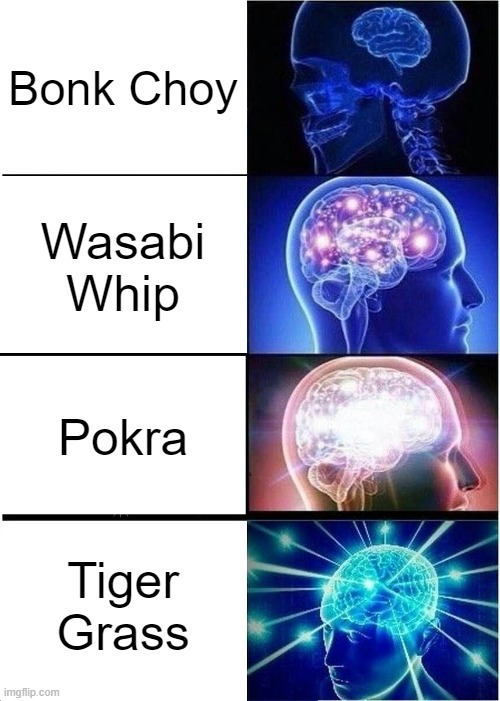 a stabby poisonous plant hag is somehow not as good as a grass tiger |  Bonk Choy; Wasabi Whip; Pokra; Tiger Grass | image tagged in memes,expanding brain,pvz,pvz2,plants vs zombies | made w/ Imgflip meme maker
