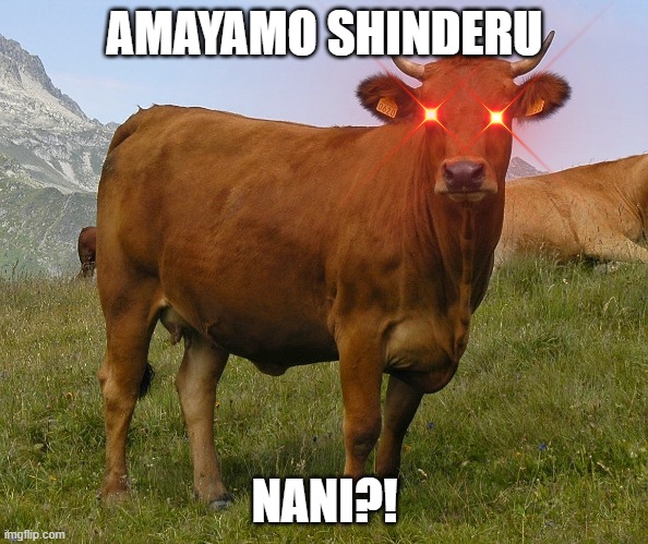 memes | AMAYAMO SHINDERU; NANI?! | image tagged in haha yes | made w/ Imgflip meme maker