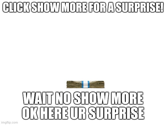 Blank White Template | CLICK SHOW MORE FOR A SURPRISE! WAIT NO SHOW MORE OK HERE UR SURPRISE | image tagged in blank white template | made w/ Imgflip meme maker