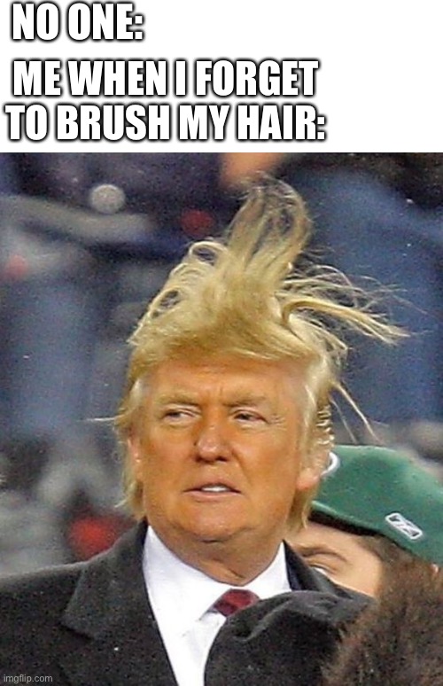 NO ONE:; ME WHEN I FORGET TO BRUSH MY HAIR: | image tagged in blank white template,donald trumph hair | made w/ Imgflip meme maker