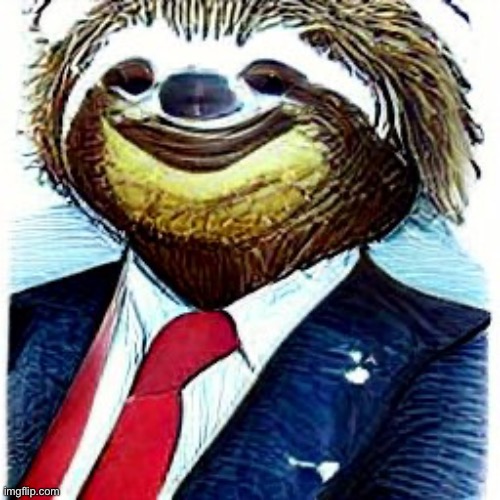 President sloth | image tagged in president sloth | made w/ Imgflip meme maker