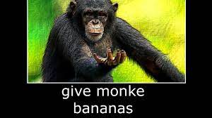 monke Blank Meme Template