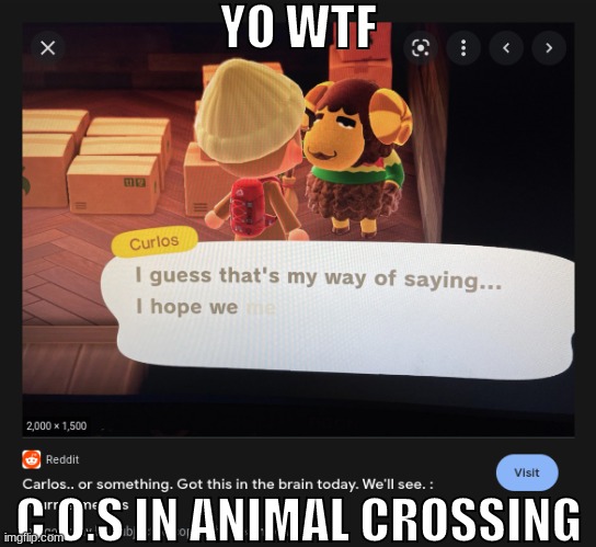 YO WTF; C.O.S IN ANIMAL CROSSING | made w/ Imgflip meme maker