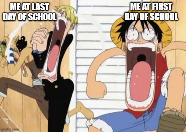 one piece | ME AT FIRST DAY OF SCHOOL; ME AT LAST DAY OF SCHOOL | image tagged in one piece | made w/ Imgflip meme maker