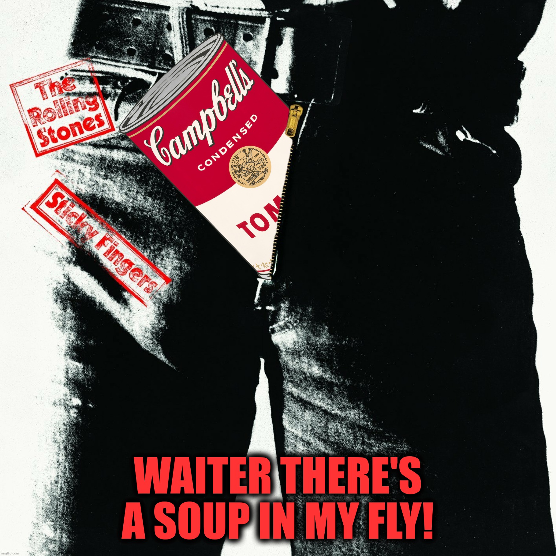 WAITER THERE'S A SOUP IN MY FLY! | made w/ Imgflip meme maker