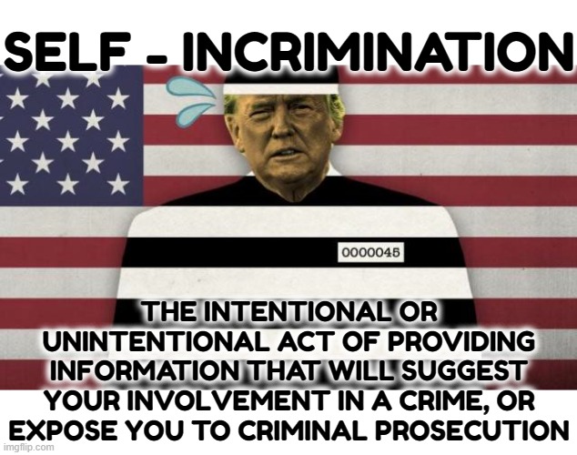 SELF-INCRIMINATION | SELF - INCRIMINATION; THE INTENTIONAL OR UNINTENTIONAL ACT OF PROVIDING INFORMATION THAT WILL SUGGEST YOUR INVOLVEMENT IN A CRIME, OR EXPOSE YOU TO CRIMINAL PROSECUTION | image tagged in self-incrimination,crime,involvement,information,prosecution,5th amendment | made w/ Imgflip meme maker