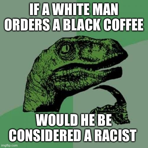 Philosoraptor | IF A WHITE MAN ORDERS A BLACK COFFEE; WOULD HE BE CONSIDERED A RACIST | image tagged in memes,philosoraptor | made w/ Imgflip meme maker