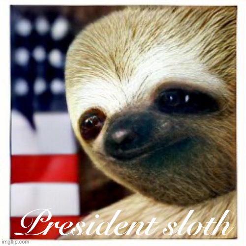 — President Sloth — | President sloth | image tagged in president sloth,s,l,o,t,h | made w/ Imgflip meme maker