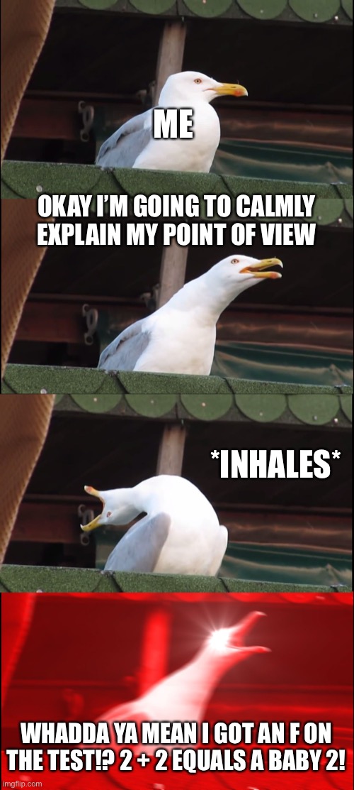 I got an F on the test | ME; OKAY I’M GOING TO CALMLY EXPLAIN MY POINT OF VIEW; *INHALES*; WHADDA YA MEAN I GOT AN F ON THE TEST!? 2 + 2 EQUALS A BABY 2! | image tagged in memes,inhaling seagull | made w/ Imgflip meme maker