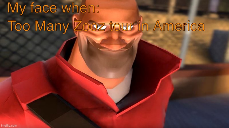 TF2 Soldier Smiling | My face when:; Too Many Zooz tour in America | image tagged in tf2 soldier smiling | made w/ Imgflip meme maker