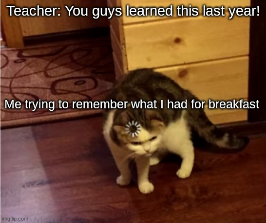 lol | Teacher: You guys learned this last year! Me trying to remember what I had for breakfast | image tagged in loading cat hd | made w/ Imgflip meme maker