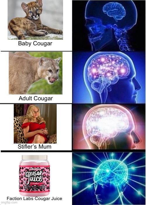 Expanding Brain |  Baby Cougar; Adult Cougar; Stifler’s Mum; Faction Labs Cougar Juice | image tagged in memes,expanding brain | made w/ Imgflip meme maker