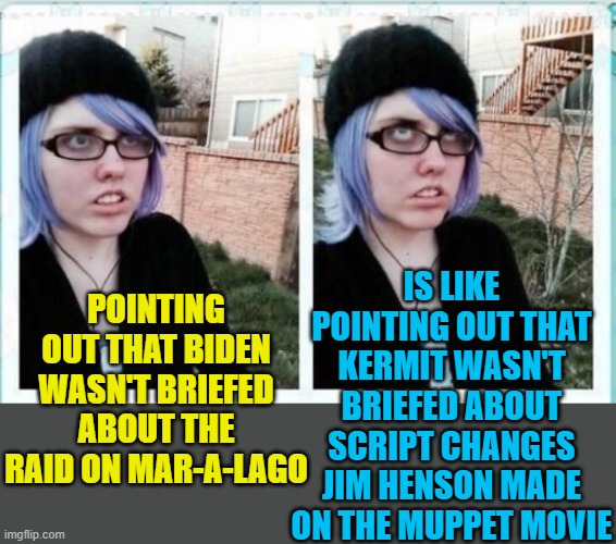 SJW eyeroll | POINTING OUT THAT BIDEN WASN'T BRIEFED ABOUT THE RAID ON MAR-A-LAGO IS LIKE POINTING OUT THAT KERMIT WASN'T BRIEFED ABOUT SCRIPT CHANGES JIM | image tagged in sjw eyeroll | made w/ Imgflip meme maker