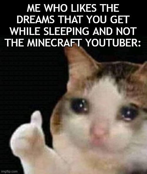 sad thumbs up cat | ME WHO LIKES THE DREAMS THAT YOU GET WHILE SLEEPING AND NOT THE MINECRAFT YOUTUBER: | image tagged in sad thumbs up cat | made w/ Imgflip meme maker