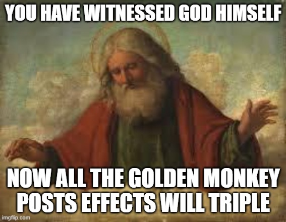 god | YOU HAVE WITNESSED GOD HIMSELF; NOW ALL THE GOLDEN MONKEY POSTS EFFECTS WILL TRIPLE | image tagged in god | made w/ Imgflip meme maker