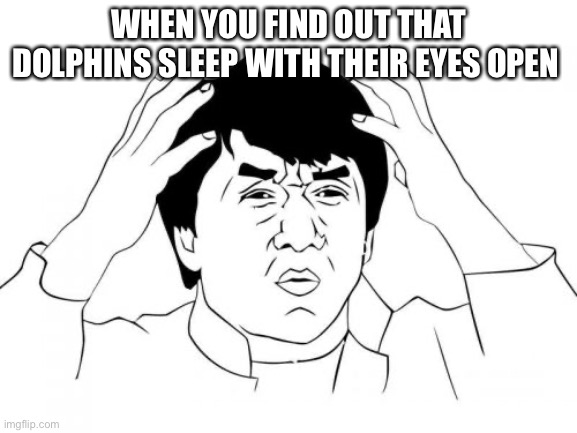 Jackie Chan WTF | WHEN YOU FIND OUT THAT DOLPHINS SLEEP WITH THEIR EYES OPEN | image tagged in memes,jackie chan wtf | made w/ Imgflip meme maker