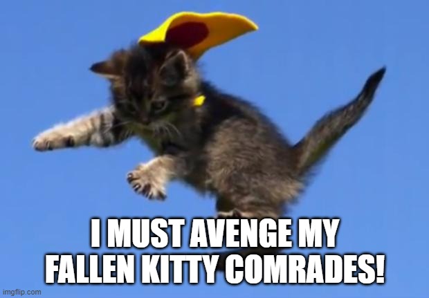 Superhero Cat | I MUST AVENGE MY FALLEN KITTY COMRADES! | image tagged in superhero cat | made w/ Imgflip meme maker