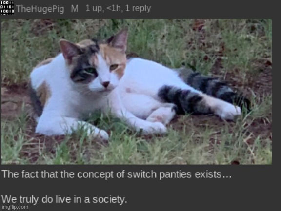 my goodness. | made w/ Imgflip meme maker