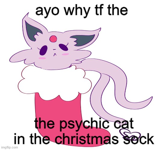 what it doin | ayo why tf the; the psychic cat in the christmas sock | image tagged in espeon in a stocking | made w/ Imgflip meme maker
