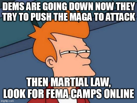 Futurama Fry Meme | DEMS ARE GOING DOWN NOW THEY TRY TO PUSH THE MAGA TO ATTACK; THEN MARTIAL LAW, LOOK FOR FEMA CAMPS ONLINE | image tagged in memes,futurama fry | made w/ Imgflip meme maker