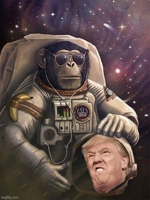 Spaceship Monkey | image tagged in spaceship monkey | made w/ Imgflip meme maker