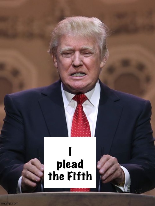 He made this sign just to save time. | I plead
the Fifth | image tagged in donald trump | made w/ Imgflip meme maker