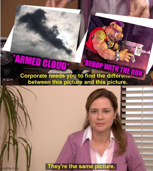 -Giving ammo. | *ARMED CLOUD*; *BEBOP WITH THE GUN* | image tagged in memes,they're the same picture,tmnt,guinea pig,assault weapons,totally looks like | made w/ Imgflip meme maker