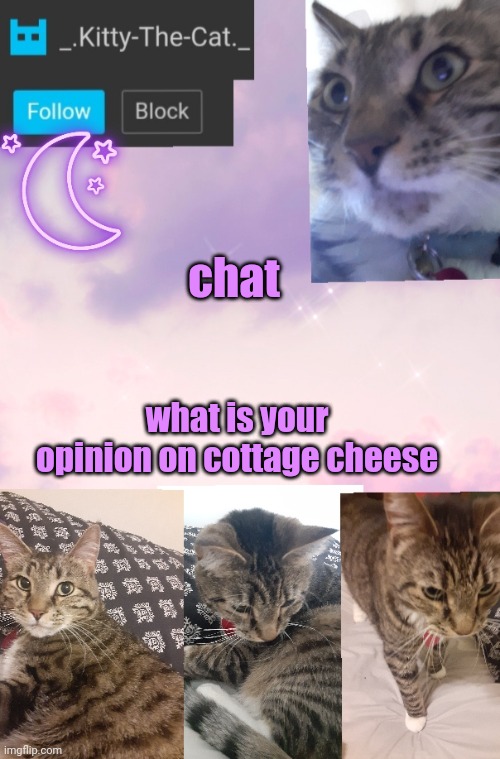 Kitty's Announcement Template | chat; what is your opinion on cottage cheese | image tagged in kitty's announcement template | made w/ Imgflip meme maker