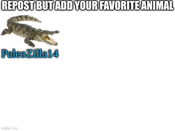 Crocodiles for the win | REPOST BUT ADD YOUR FAVORITE ANIMAL; PaleoZilla14 | image tagged in blank white template | made w/ Imgflip meme maker