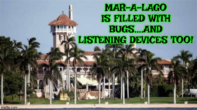 Mar-a-lago is bugged! | MAR-A-LAGO IS FILLED WITH BUGS....AND LISTENING DEVICES TOO! | image tagged in donald trump,mar-a-lago,maga,fbi,infesation | made w/ Imgflip meme maker