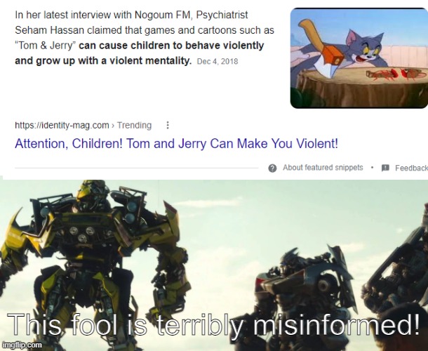 This fool is terribly misinformed! | image tagged in this fool is terribly misinformed,transformers,tom and jerry | made w/ Imgflip meme maker