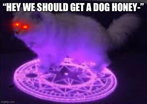 Oh no | “HEY WE SHOULD GET A DOG HONEY-” | image tagged in cat summoning | made w/ Imgflip meme maker