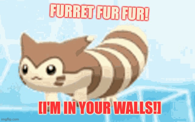 [I'M IN YOUR WALLS!] FURRET FUR FUR! | made w/ Imgflip meme maker