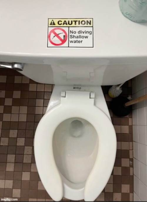 no diving | image tagged in no diving | made w/ Imgflip meme maker