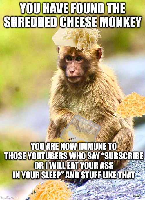  YOU HAVE FOUND THE SHREDDED CHEESE MONKEY; YOU ARE NOW IMMUNE TO THOSE YOUTUBERS WHO SAY “SUBSCRIBE OR I WILL EAT YOUR ASS IN YOUR SLEEP” AND STUFF LIKE THAT | made w/ Imgflip meme maker