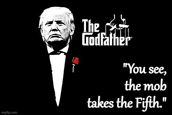 Don Trumpo, with both the Italian and Russian mobs | "You see, the mob takes the Fifth." | image tagged in don trumpo with both the italian and russian mobs | made w/ Imgflip meme maker