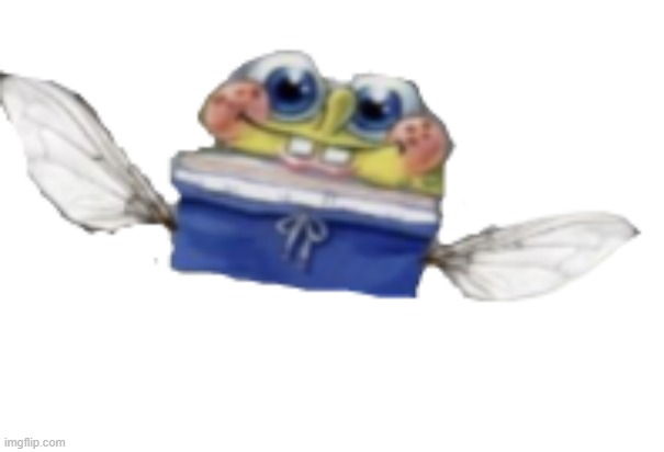 spongefly | image tagged in spongefly | made w/ Imgflip meme maker