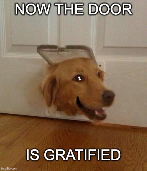 Dog door | NOW THE DOOR IS GRATIFIED | image tagged in dog door | made w/ Imgflip meme maker