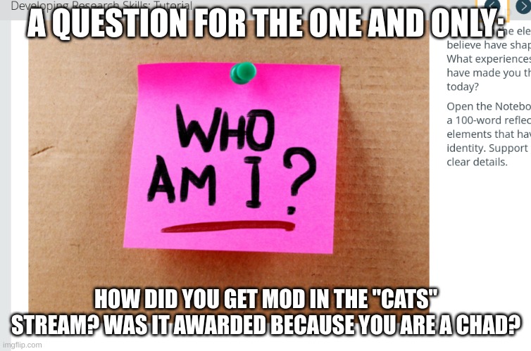 who_am_i | A QUESTION FOR THE ONE AND ONLY:; HOW DID YOU GET MOD IN THE "CATS" STREAM? WAS IT AWARDED BECAUSE YOU ARE A CHAD? | image tagged in who_am_i | made w/ Imgflip meme maker