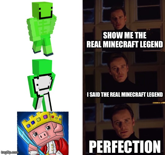 You may be gone, but not forgotten | SHOW ME THE REAL MINECRAFT LEGEND; I SAID THE REAL MINECRAFT LEGEND; PERFECTION | image tagged in perfection,technoblade | made w/ Imgflip meme maker