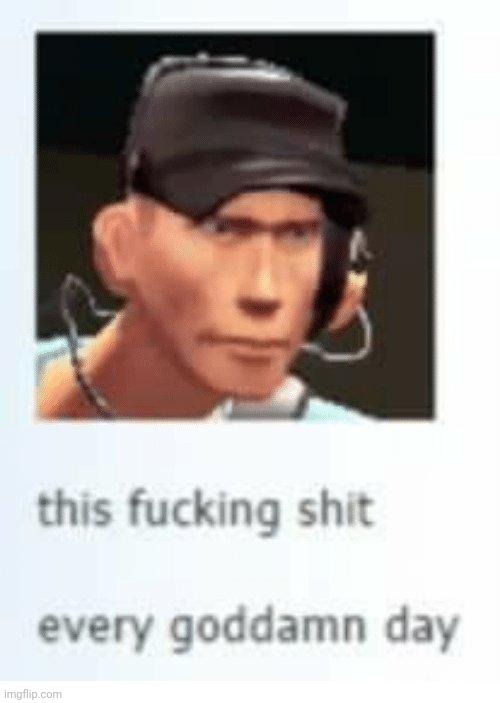 This shit everyday | image tagged in this shit everyday | made w/ Imgflip meme maker