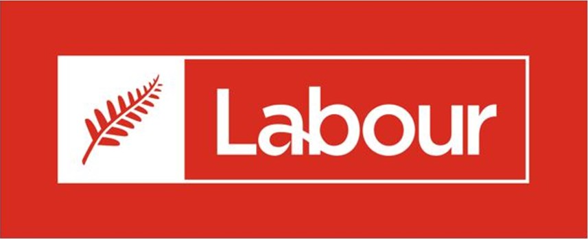 High Quality Labour NZ Logo Blank Meme Template