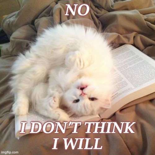 Man proposes, Cat disposes |  NO; I DON'T THINK
I WILL | image tagged in cat on book,no,denied,cat,cats | made w/ Imgflip meme maker