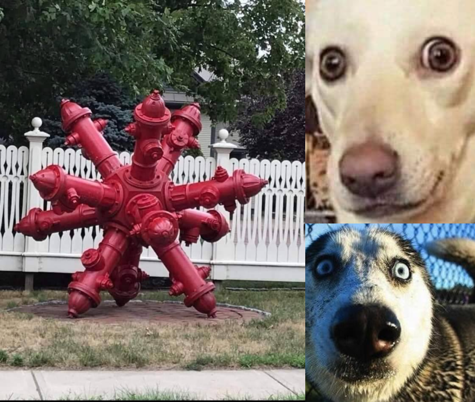 Scare dogs hydrant Blank Meme Template