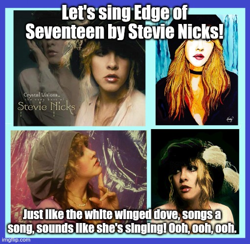 Let's sing Edge of Seventeen by Stevie Nicks! | Let's sing Edge of Seventeen by Stevie Nicks! Just like the white winged dove, songs a song, sounds like she's singing! Ooh, ooh, ooh. | image tagged in stevie nicks,imgflip unite | made w/ Imgflip meme maker