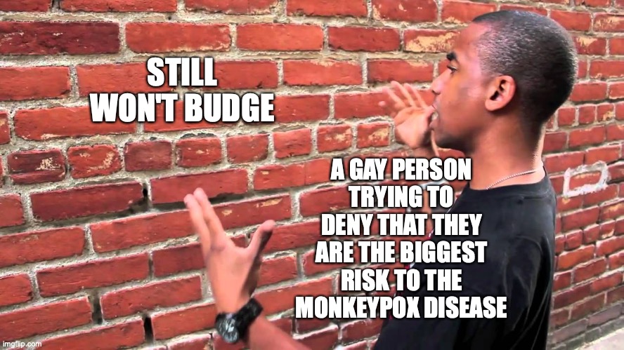 Talking to wall | STILL WON'T BUDGE A GAY PERSON TRYING TO DENY THAT THEY ARE THE BIGGEST RISK TO THE MONKEYPOX DISEASE | image tagged in talking to wall | made w/ Imgflip meme maker